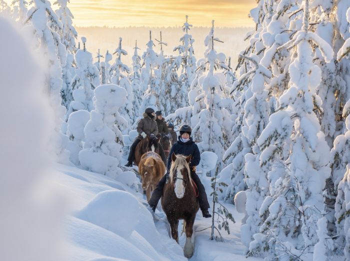 Wintertraum finnisch Lappland