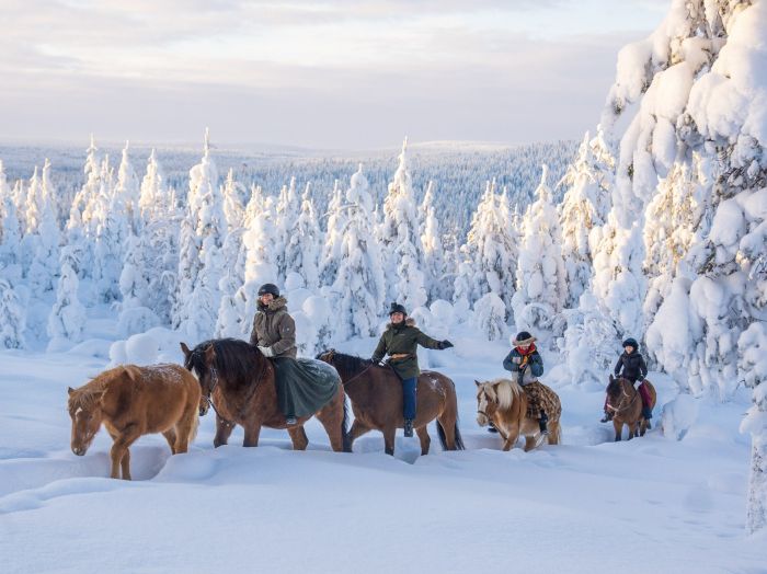 Wintertraum finnisch Lappland
