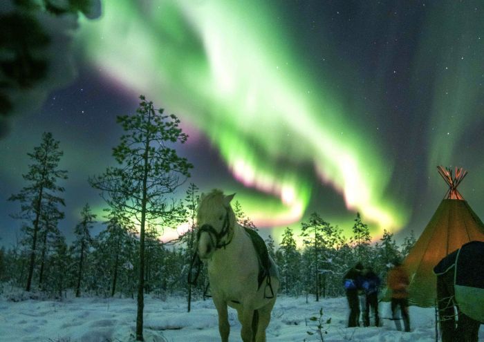 Wintertraum finnisch Lappland