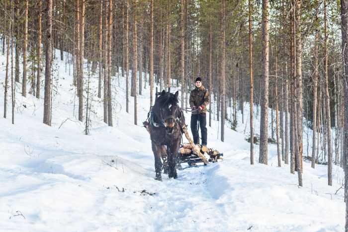 Wintertraum finnisch Lappland