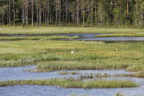 Reit- und Aktivwoche im Herzen Finnlands