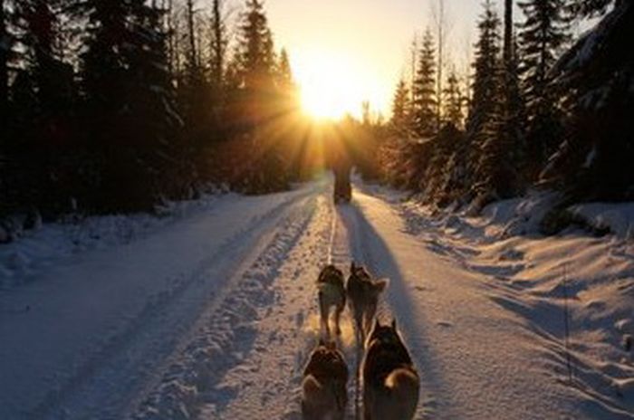 Winterabenteuer im Herzen Finnlands