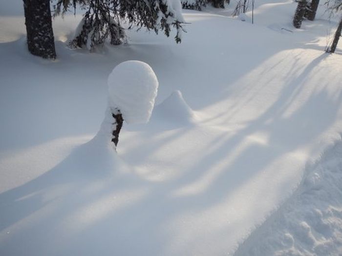 Winterabenteuer im Herzen Finnlands