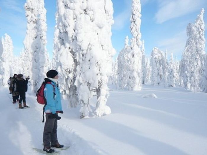 Winterabenteuer im Herzen Finnlands