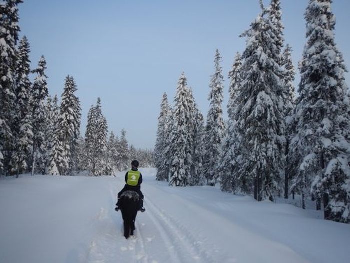 Winterabenteuer im Herzen Finnlands