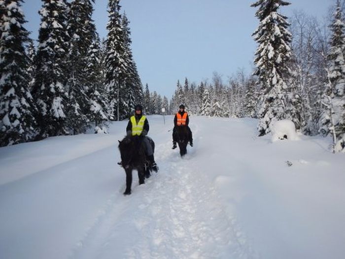 Winterabenteuer im Herzen Finnlands