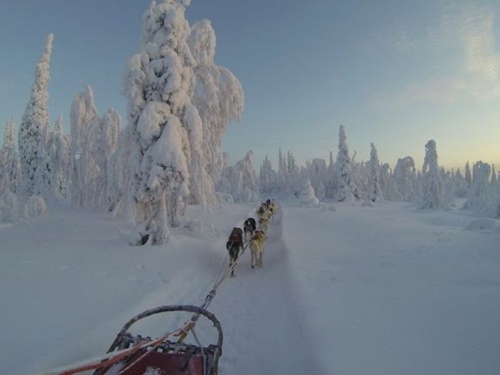 Winterabenteuer im Herzen Finnlands