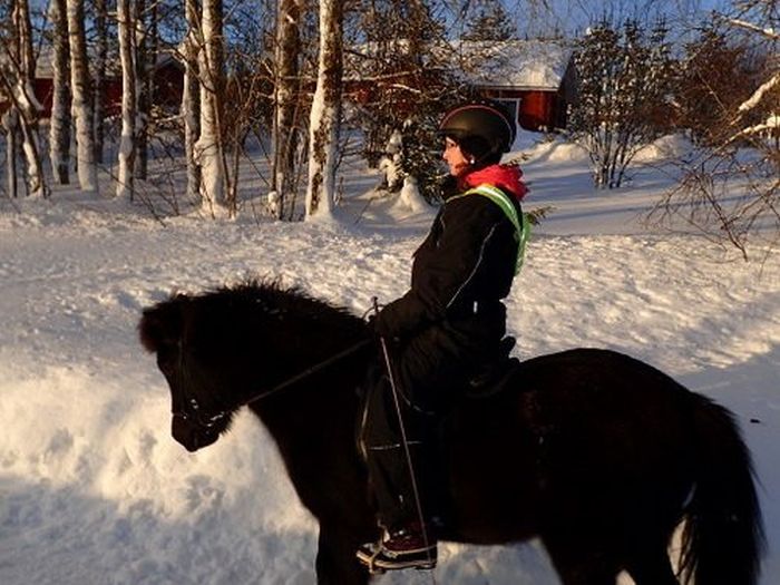 Winterabenteuer im Herzen Finnlands