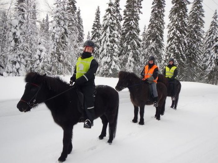 Winterabenteuer im Herzen Finnlands