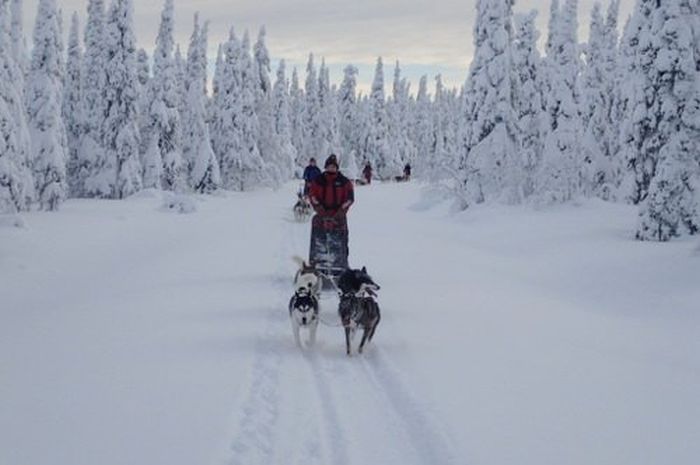 Winterabenteuer im Herzen Finnlands