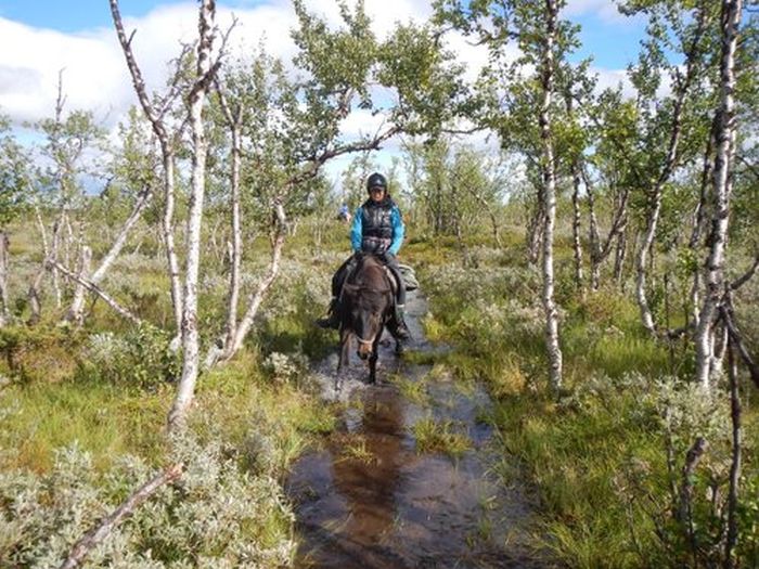 Ratekjokk Trail