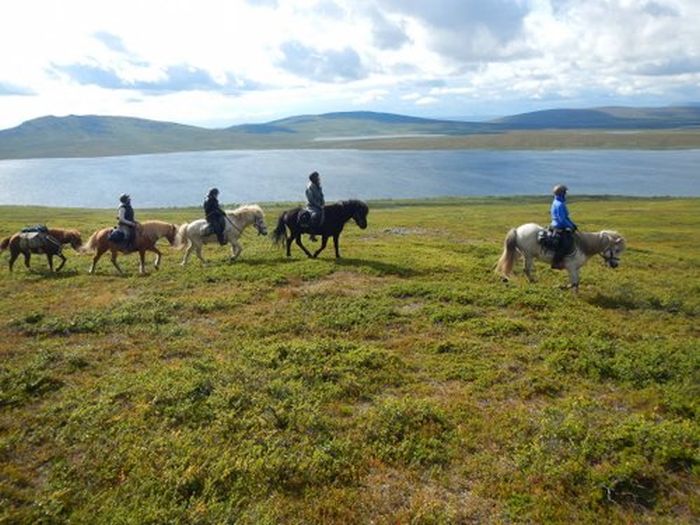 Ratekjokk Trail