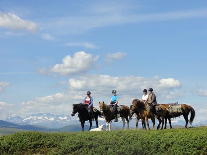 Ratekjokk Trail