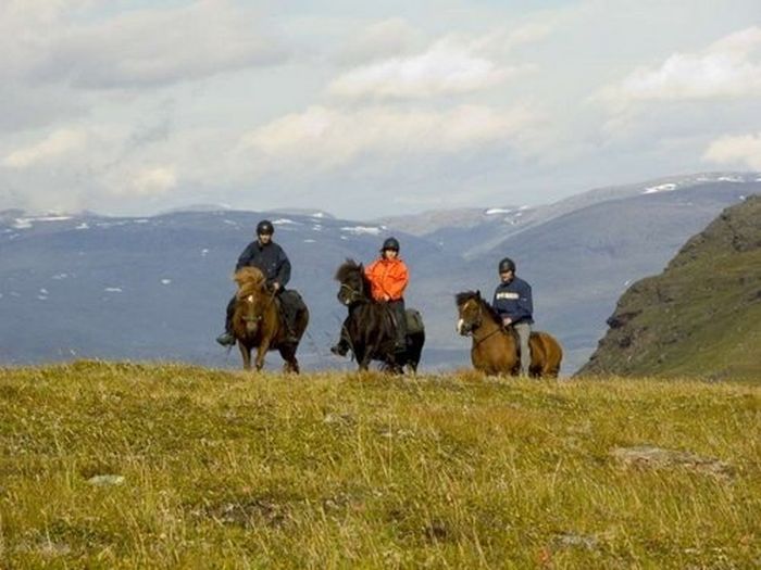 Ratekjokk Trail