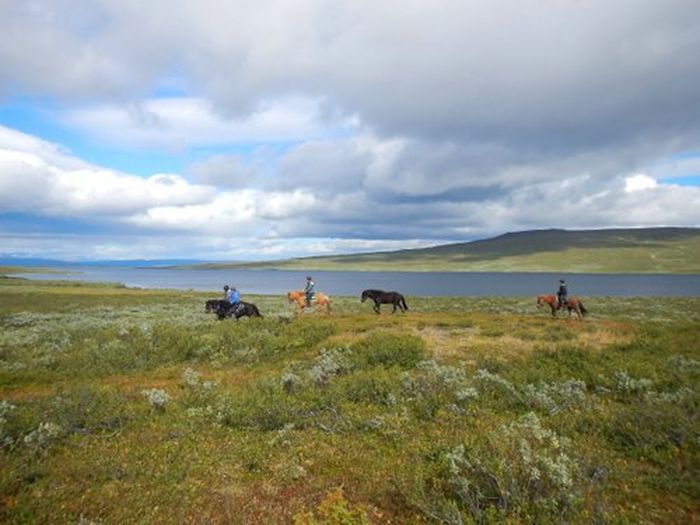 Ratekjokk Trail