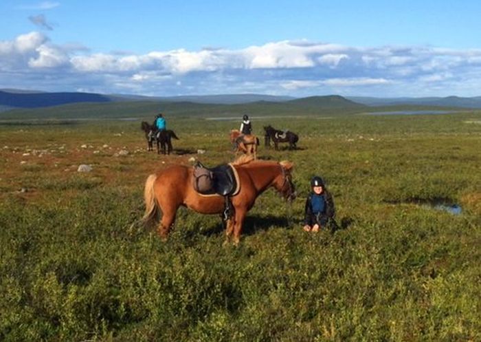 Ratekjokk Trail