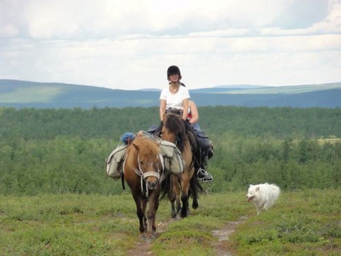 Ratekjokk Trail