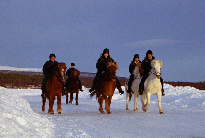 Zauber der Polarlichter