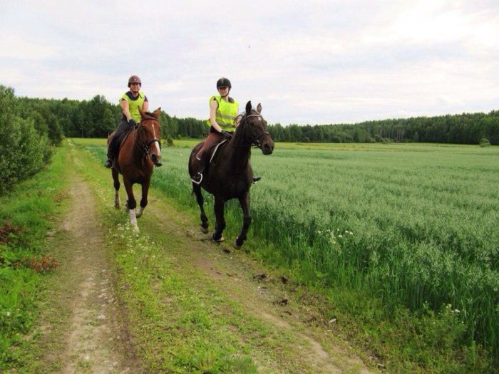 Reiten und Wohlf&uuml;hlen im Saimaa-Seengebiet