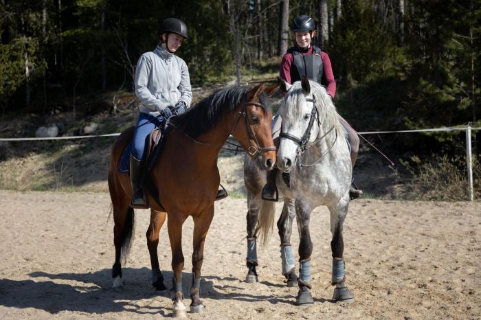 Reiten und Wohlf&uuml;hlen im Saimaa-Seengebiet
