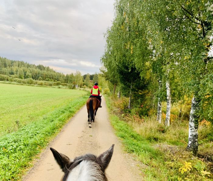 Reiten und Wohlf&uuml;hlen im Saimaa-Seengebiet