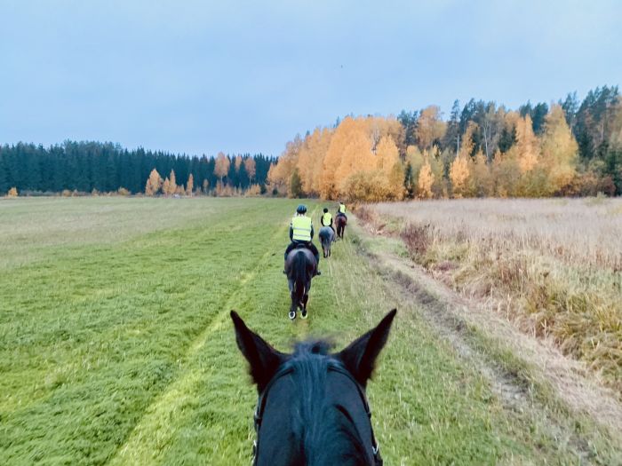 Reiten und Wohlf&uuml;hlen im Saimaa-Seengebiet