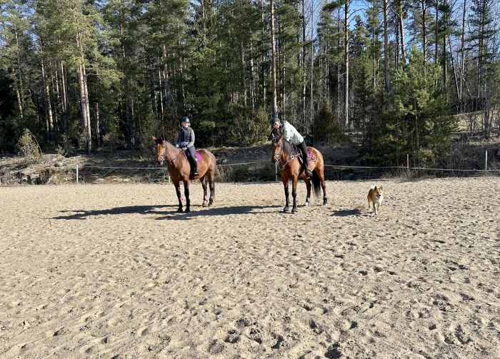 Reiten und Wohlf&uuml;hlen im Saimaa-Seengebiet