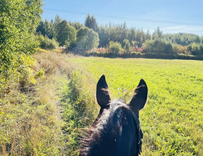 Reiten und Wohlf&uuml;hlen im Saimaa-Seengebiet