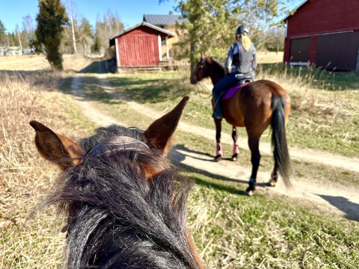 Reiten und Wohlf&uuml;hlen im Saimaa-Seengebiet