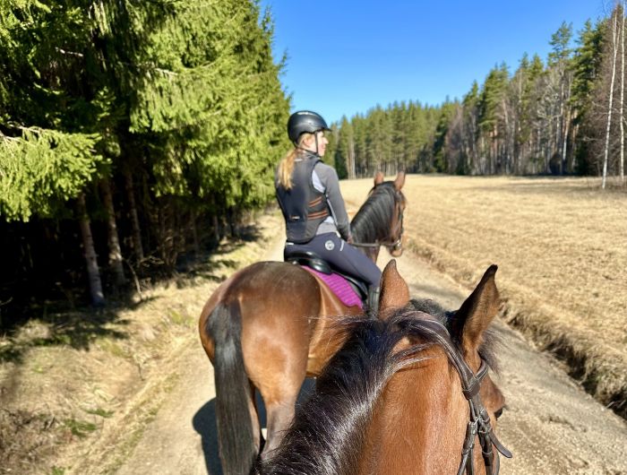 Reiten und Wohlf&uuml;hlen im Saimaa-Seengebiet