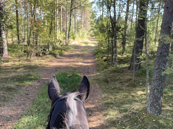 Reiten und Wohlf&uuml;hlen im Saimaa-Seengebiet