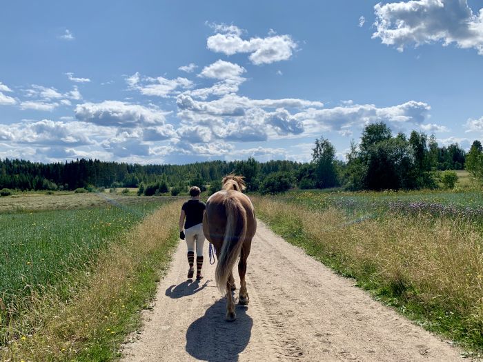 Reiten und Wohlf&uuml;hlen im Saimaa-Seengebiet
