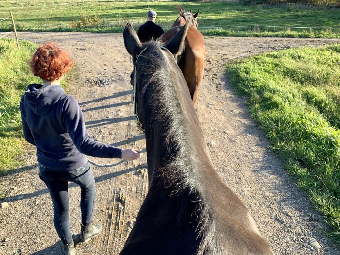 Reiten und Wohlf&uuml;hlen im Saimaa-Seengebiet