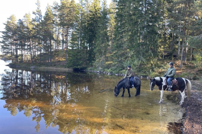 Aktive Entspannung in S&uuml;dschweden