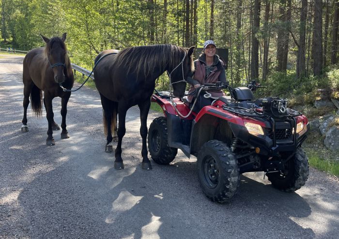Aktive Entspannung in S&uuml;dschweden