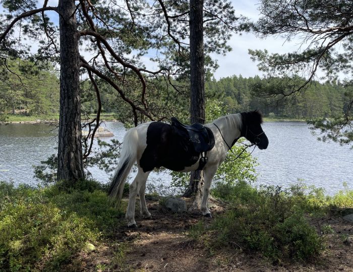 Aktive Entspannung in S&uuml;dschweden