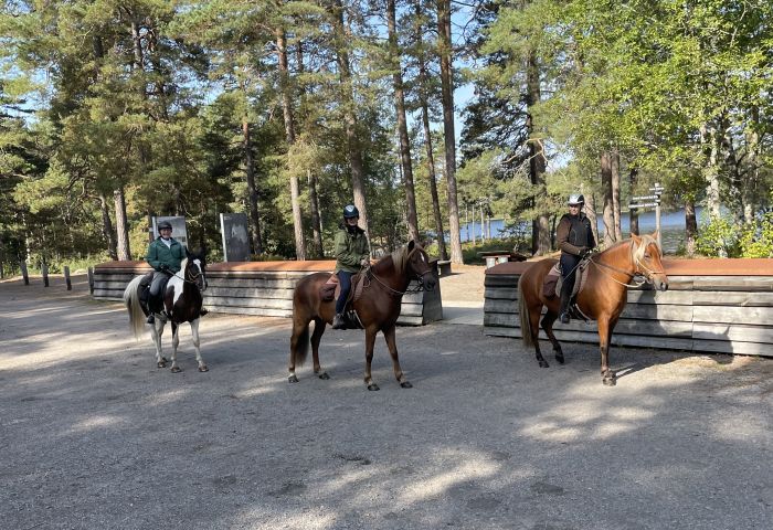 Aktive Entspannung in S&uuml;dschweden