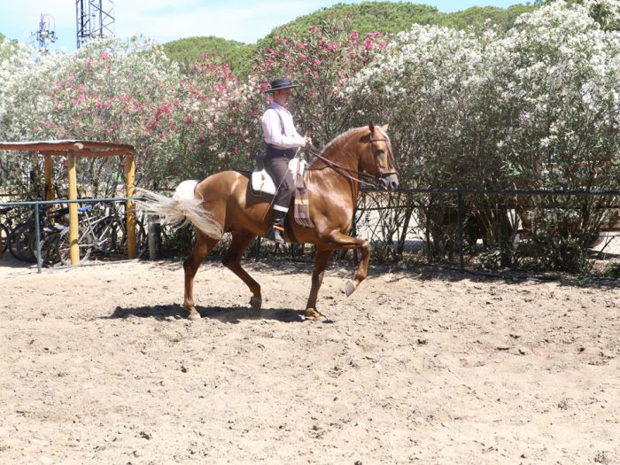 Coto de Doñana Trail