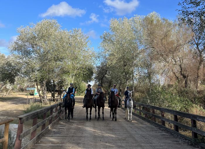 Coto de Doñana Trail