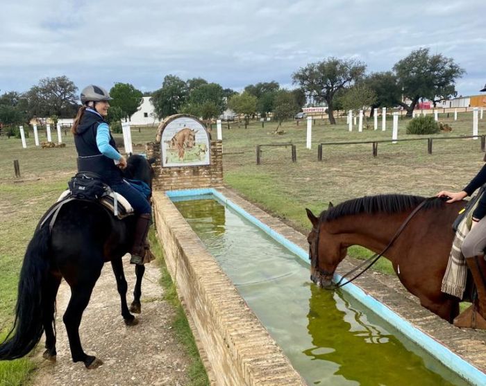 Coto de Doñana Trail