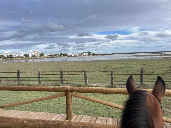 Coto de Doñana Trail