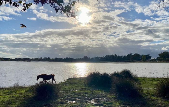 Coto de Doñana Trail