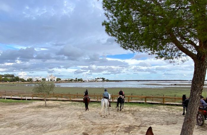 Coto de Doñana Trail