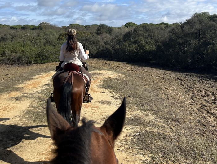 Coto de Doñana Trail