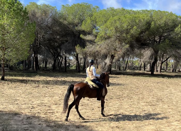 Coto de Doñana Trail