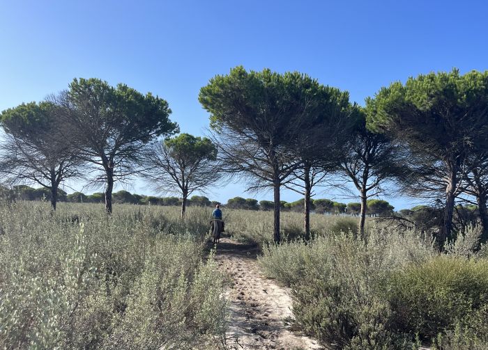 Coto de Doñana Trail