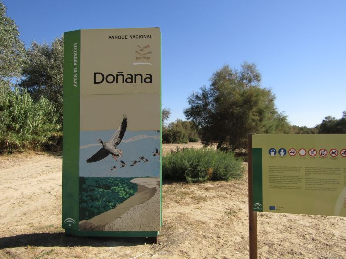 Coto de Doñana Trail