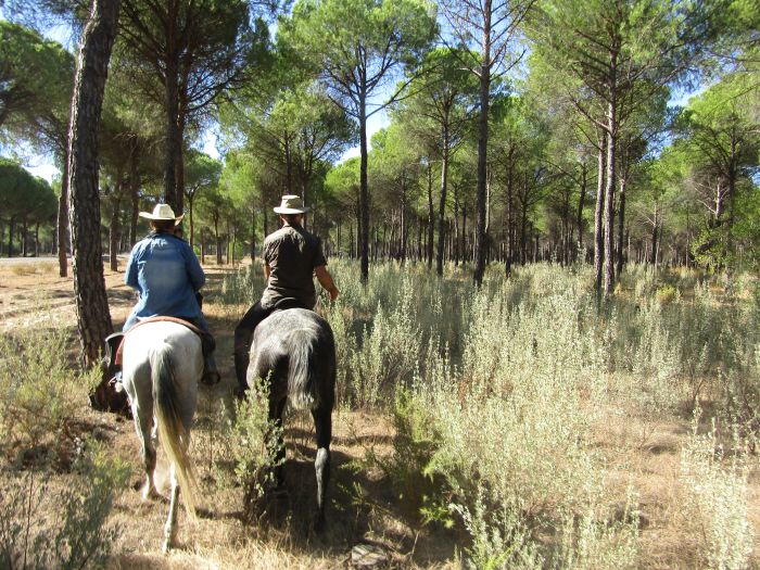 Coto de Doñana Trail