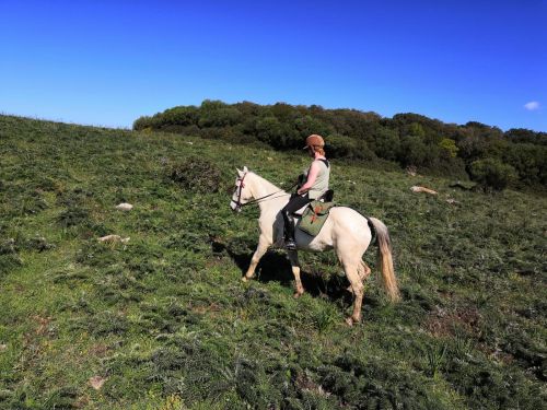 Gibraltar-Atlantik Naturparkritt (8 Tage)