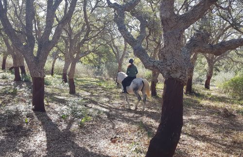 Gibraltar-Atlantik Naturparkritt (8 Tage)